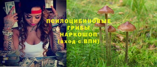 соль ск Алзамай