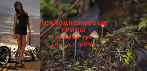 кокс Алексеевка